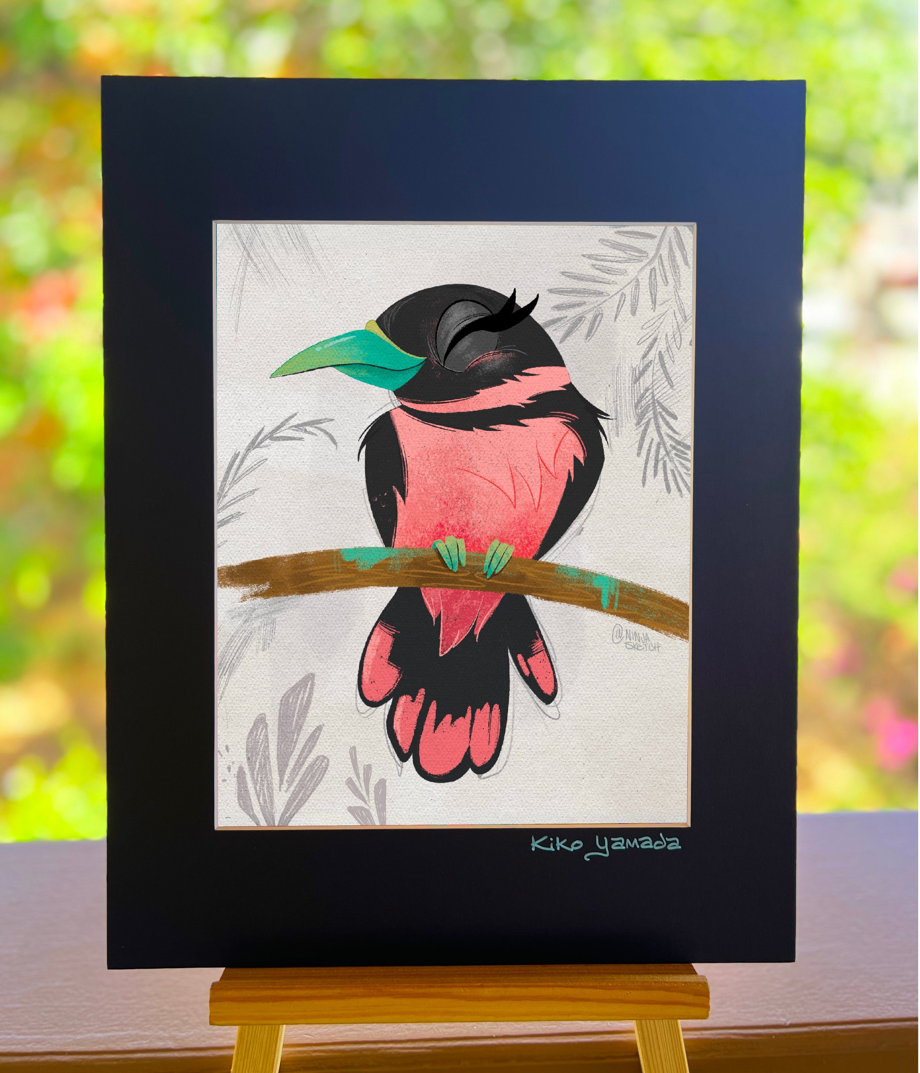 Broadbill Bird Bliss Illustration – Ninja Sketch